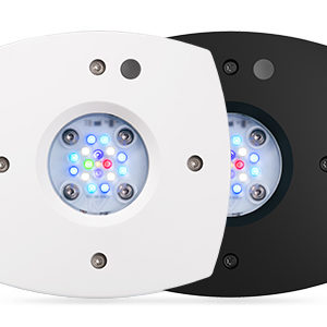 AI Prime 16HD Reef