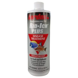 Kordon Rid Ich Plus 4fl oz