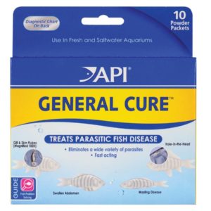 API General Cure Fresh and Saltwater Powder Medication 1ea/10 pk