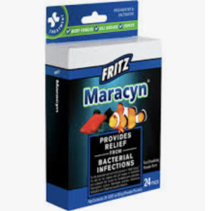 Fritz Maracyn 24ct